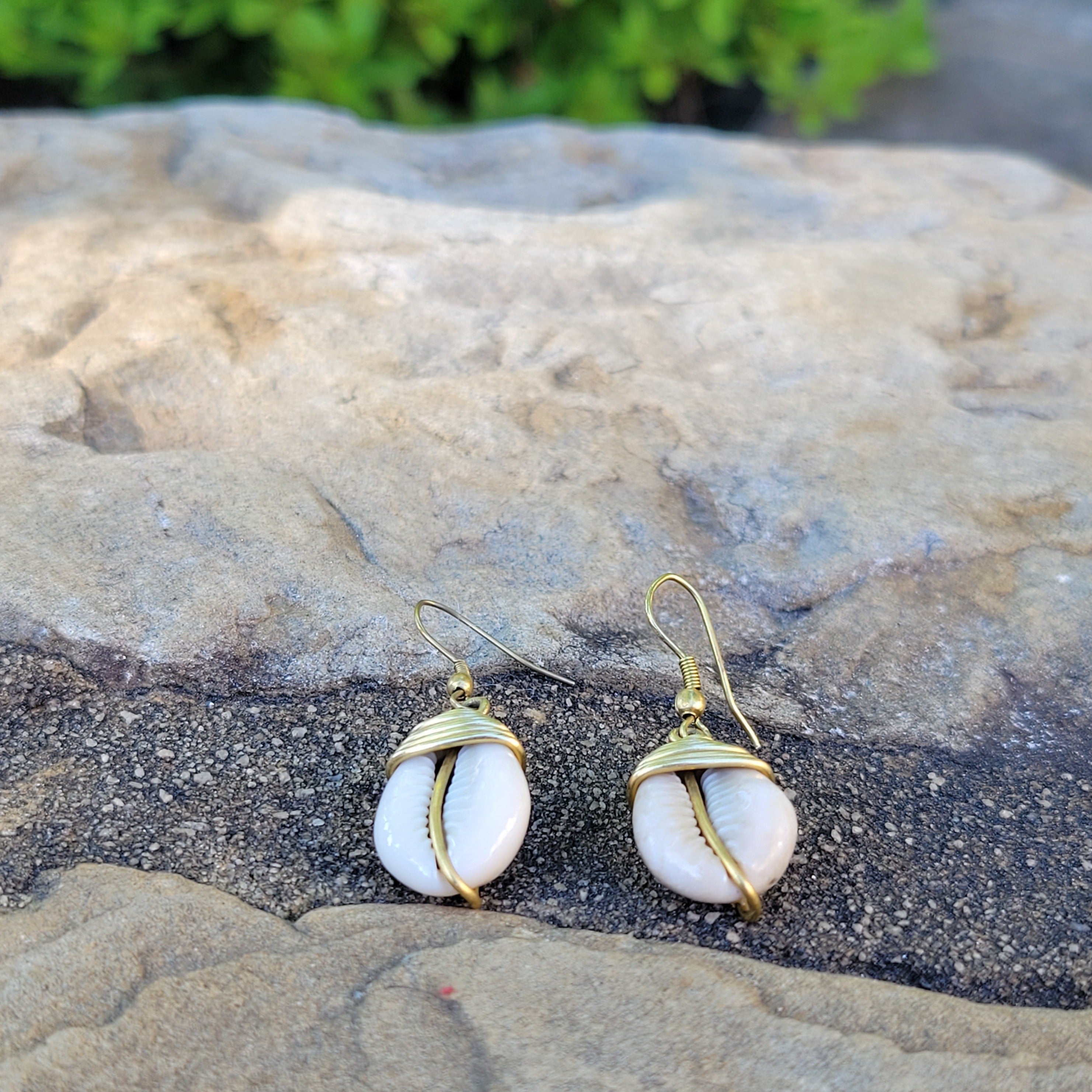 Single Cowrie Shell Drop Earrings