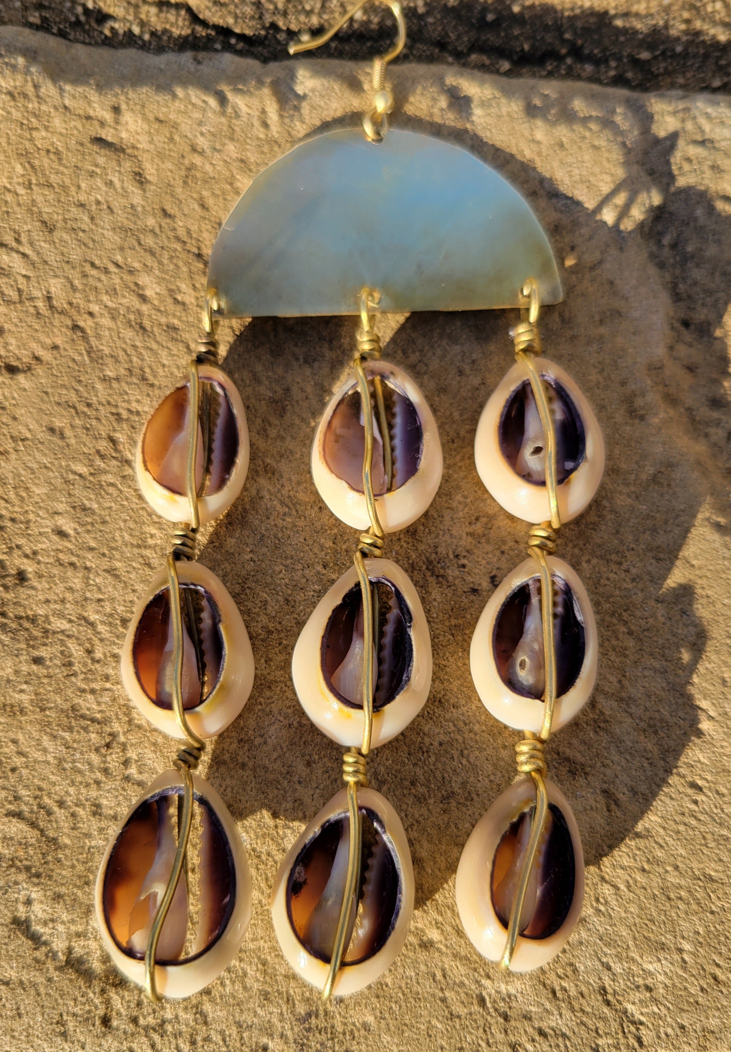 Smooth Cowrie Shell Curtain Earrings